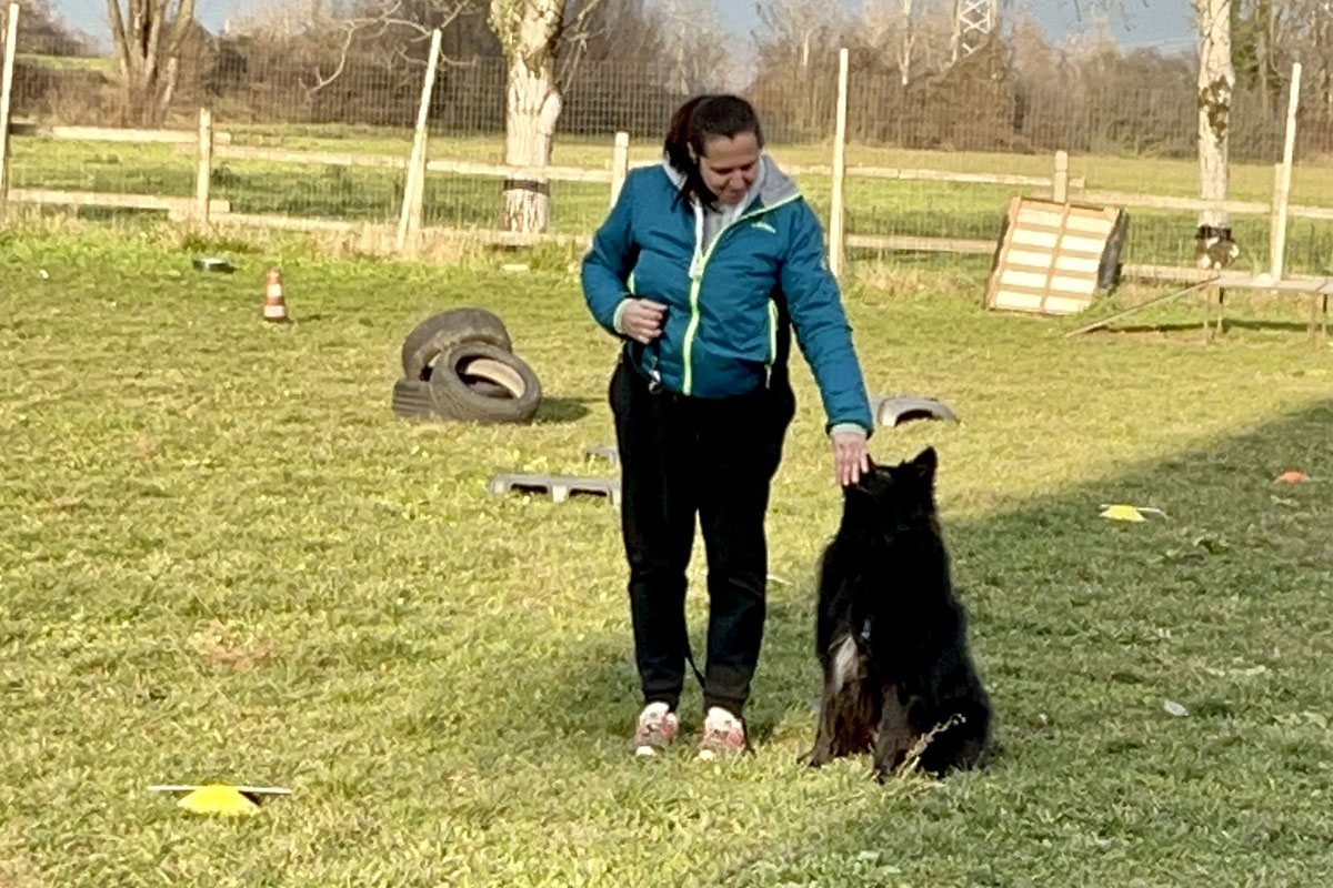 Rally obedience cani